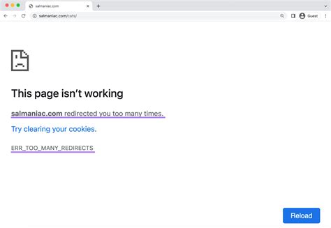 Too Many Redirects Error: What It Is & How to Fix It .